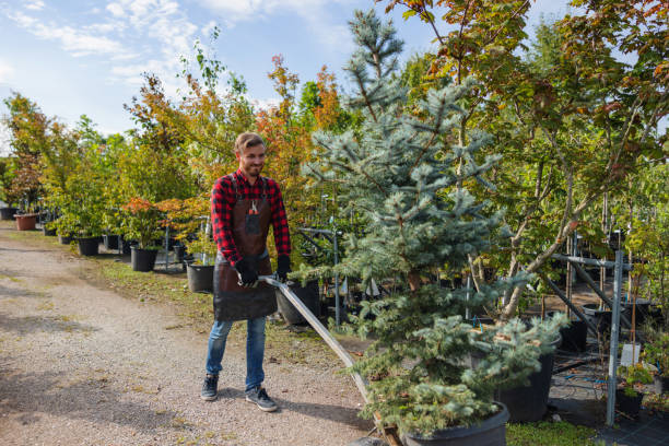 Best Emergency Tree Service  in Strum, WI